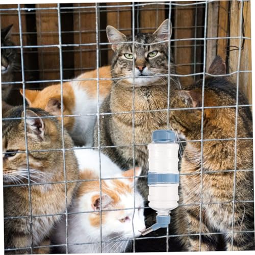 Yardwe Auslaufsichere Transparente Kleintier trinkflasche Hängender Wasserspender für Hamster Kaninchen Meerschweinchen Kleines Kunststofffläschchen Stabiler Haustier wasserbehälter für Yardwe Auslaufsichere Transparente Kleintier trinkflasche Hängender Wasserspender für Hamster Kaninchen Meerschweinchen Kleines Kunststofffläschchen Stabiler Haustier wasserbehälter für von Yardwe