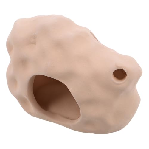 Yardwe Betta Aquarium Dekoration Keramik Versteck Höhle für Fische Kreatives Ornament für Ästhetischen Reiz im Aquarium Langlebige und Pflegeleichte Hütte für Betta Fische Yardwe Betta Aquarium Dekoration Keramik Versteck Höhle für Fische Kreatives Ornament für Ästhetischen Reiz im Aquarium Langlebige und Pflegeleichte Hütte für Betta Fische von Yardwe