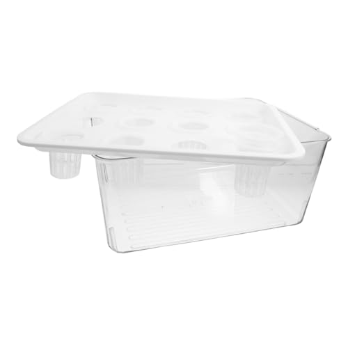 Yardwe Wasserpflanze Aquarium Aquarium Aquarium Für Balkon Garten Pflanzen Einfache Wartung von Yardwe