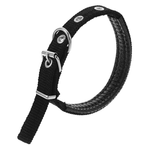Yardwe Dekoratives Katzenhalsband aus Polyester Verstellbar Weiche Schaumstoffkonstruktion Doppelte Funktion als Halsband und Leinenloop für Haustiere im Innen Yardwe Dekoratives Katzenhalsband aus Polyester Verstellbar Weiche Schaumstoffkonstruktion Doppelte Funktion als Halsband und Leinenloop für Haustiere im Innen von Yardwe