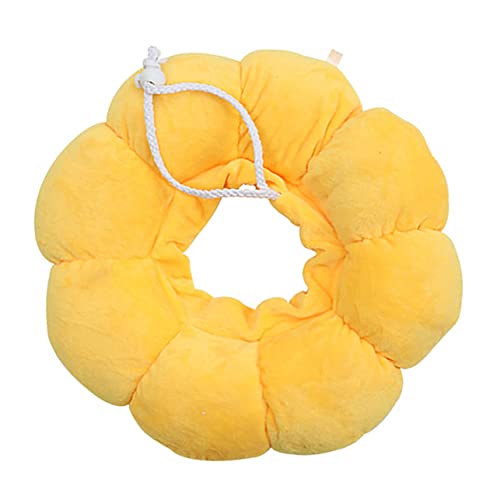 Yardwe Schickes Katzenhalsband in Sonnenblumenform Haustierkreis Für Kätzchen Katzen Von Kratzern von Yardwe