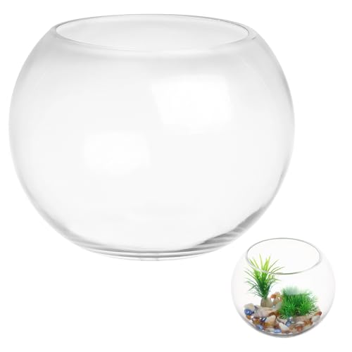 Yardwe FischsäUle Glas Runde - Kugelaquarium Mini - Goldfischglas Deko FüR Zuhause Wohnzimmer BüRo Tisch von Yardwe