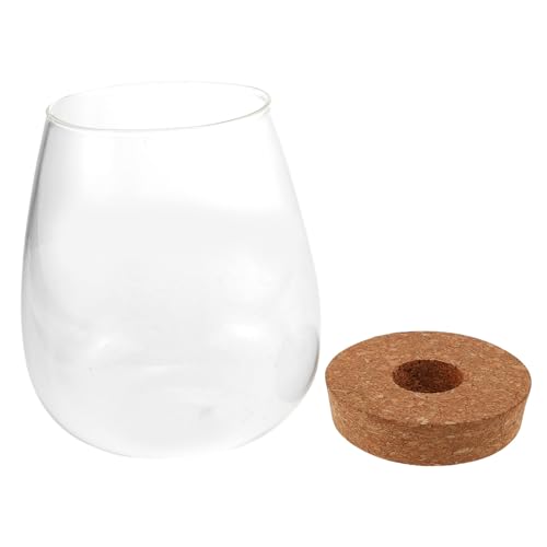 Yardwe Pflanzen-Terrarium-Glas Hydrokultur Für Zuhause Dekorative Flasche Für Kreative Landschaftsgestaltung Yardwe Pflanzen-Terrarium-Glas Hydrokultur Für Zuhause Dekorative Flasche Für Kreative Landschaftsgestaltung von Yardwe