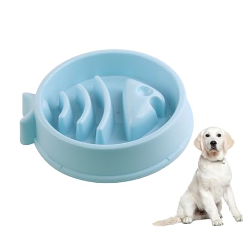 Yardwe Futterautomat für Haustiere Slow-Feeder-Schüsseleinsatz Hund langsamer Esser Hundenapf pet Supplies hundeartikel Langsamer Futterspender für Hunde Anti-Choke-Napf für Haustiere Yardwe Futterautomat für Haustiere Slow-Feeder-Schüsseleinsatz Hund langsamer Esser Hundenapf pet Supplies hundeartikel Langsamer Futterspender für Hunde Anti-Choke-Napf für Haustiere von Yardwe