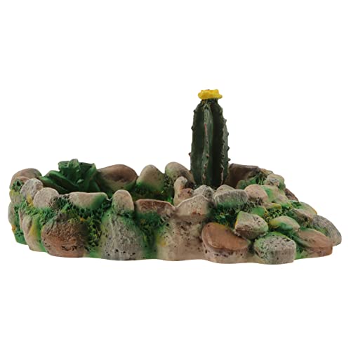 Yardwe Reptilien Wasserschale Für Schildkröten Und Echsen Simulation Cactus Feeder Bowl Aus Langlebigem Harz Für Terrarien Und Attraktiv Für Haustiere Yardwe Reptilien Wasserschale Für Schildkröten Und Echsen Simulation Cactus Feeder Bowl Aus Langlebigem Harz Für Terrarien Und Attraktiv Für Haustiere von Yardwe