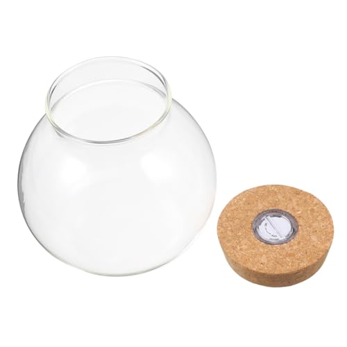 Yardwe Glas-Terrarium mit Korkdeckel und Led-licht Runde Hydroponische Pflanzenvase Klarer Glasbehälter für Pflanzen Desktop-Propagation Station Versiegeltes Umweltfreundliches Fläschchen von Yardwe