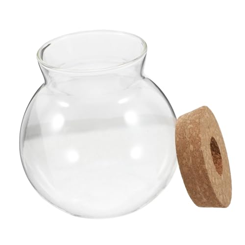 Yardwe Glasterrarium mit Korkdeckel Dekorative Pflanzenvase für Mikrolandschaften Wasserausbreitungsstation und Fischvase für Raumgestaltung und Stilvolle Yardwe Glasterrarium mit Korkdeckel Dekorative Pflanzenvase für Mikrolandschaften Wasserausbreitungsstation und Fischvase für Raumgestaltung und Stilvolle von Yardwe