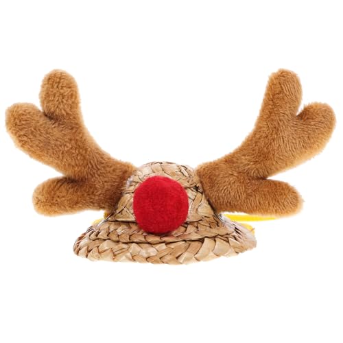 Yardwe Hüte Entzückende Reptilienhüte Haustierhut Ornamente Weihnachtshamsterkappe Dekorative Haustierhüte von Yardwe