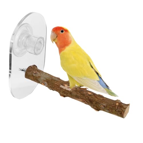 Yardwe Höhenverstellbare Plattform aus Naturholz mit Saugnäpfen Tragbarer Vogelstand für Wellensittiche Nymphensittiche und Andere Kleine Vögel für Käfige und Fenster Yardwe Höhenverstellbare Plattform aus Naturholz mit Saugnäpfen Tragbarer Vogelstand für Wellensittiche Nymphensittiche und Andere Kleine Vögel für Käfige und Fenster von Yardwe