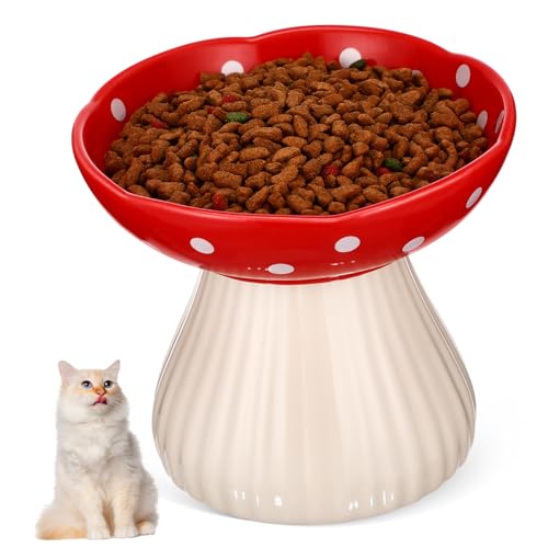 Yardwe Hohe Katzen Schale Katzenfutter Schüssel Schüsseln Drinnen Hoher Katzennapf Erhöhte Näpfe Für Katzen Füttern Speisen Slow Feeder Napf Für Katzen Geneigter Katzennapf Rot Keramik Yardwe Hohe Katzen Schale Katzenfutter Schüssel Schüsseln Drinnen Hoher Katzennapf Erhöhte Näpfe Für Katzen Füttern Speisen Slow Feeder Napf Für Katzen Geneigter Katzennapf Rot Keramik von Yardwe