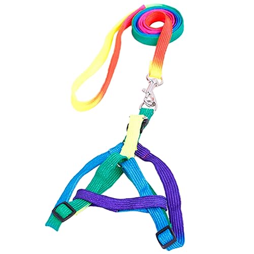 Yardwe Verstellbarer Brustgurt Aus Nylon Mit 1 0 cm Buntem Stilvollem Gurt Für Hunde Welpen Und Katzen Zum Spazierengehen Zufällige Farbe Yardwe Verstellbarer Brustgurt Aus Nylon Mit 1 0 cm Buntem Stilvollem Gurt Für Hunde Welpen Und Katzen Zum Spazierengehen Zufällige Farbe von Yardwe