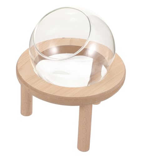 Yardwe Cage Sand Bath Box Für Hamster Transparentes Glasbad Mit Holzunterlage Für Kleine Haustiere Vielseitige Nutzung Als Toilette Und Sandbad Yardwe Cage Sand Bath Box Für Hamster Transparentes Glasbad Mit Holzunterlage Für Kleine Haustiere Vielseitige Nutzung Als Toilette Und Sandbad von Yardwe