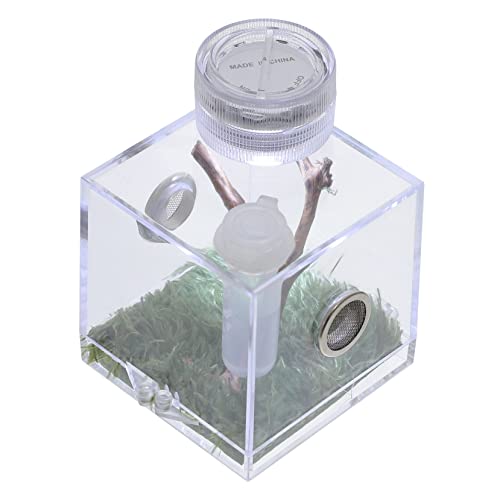 Yardwe Kasten Springspinnen-Zuchtbox Zubehör für springende Spinnen Spinnenpanzer Lampe Spinnengehege Spiders Lebensraumversorgung Transparentes Spinnenterrarium Acryl von Yardwe