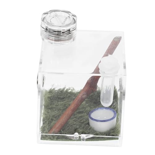 Yardwe 2stücke Spider Habitat Box Für Springende Spinnen Tragbare Terrarium-lösung Mit Integrierter Lampe Und Feuchtigkeitsregler Für Pflege Von Jumping Spiders Und Anderen Insekten Yardwe 2stücke Spider Habitat Box Für Springende Spinnen Tragbare Terrarium-lösung Mit Integrierter Lampe Und Feuchtigkeitsregler Für Pflege Von Jumping Spiders Und Anderen Insekten von Yardwe