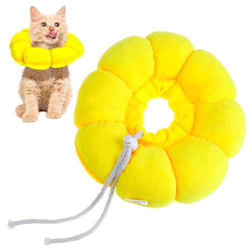 Yardwe Katzenkegel Katzenhalsband Mit Sonnenblumendesign Verstellbares Schnallendesign Und Verschleißfest Leicht Und Kompakt Für Katzen Und Kätzchen von Yardwe