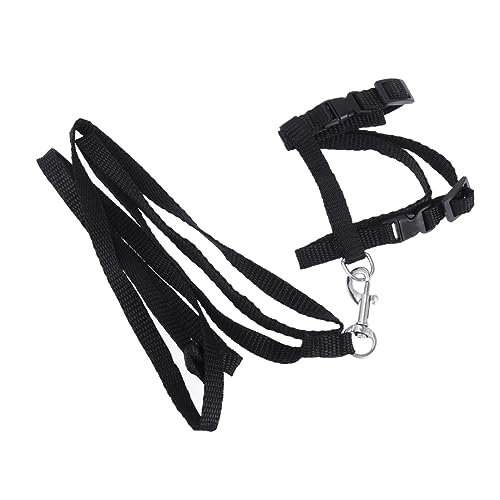 Yardwe Seil Schwarzes Katzenhalsband Leine Für Haustierbedarf Leicht Und Verstellbar Zum Spazierengehen Yardwe Seil Schwarzes Katzenhalsband Leine Für Haustierbedarf Leicht Und Verstellbar Zum Spazierengehen von Yardwe