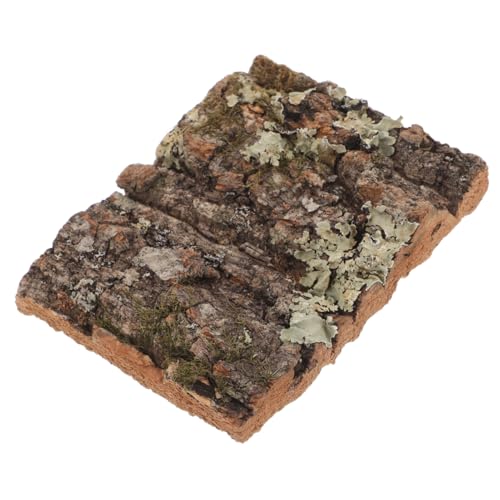 Yardwe Korkrinde für Reptilien Terrarium und Aquarium Dekoration Natürliche für Reptilienhabitat Korkrinden Wanddekoration für Klettermöglichkeiten von Yardwe