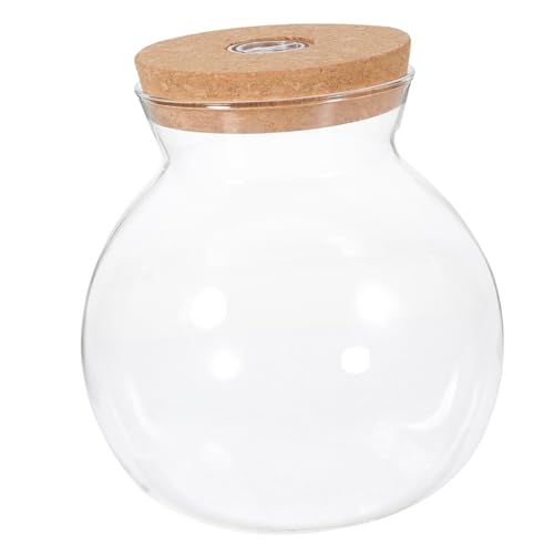 Yardwe Aqua Landschaft Flasche Mini Aquarium Licht Dekorative Glas Vase Für Hause von Yardwe