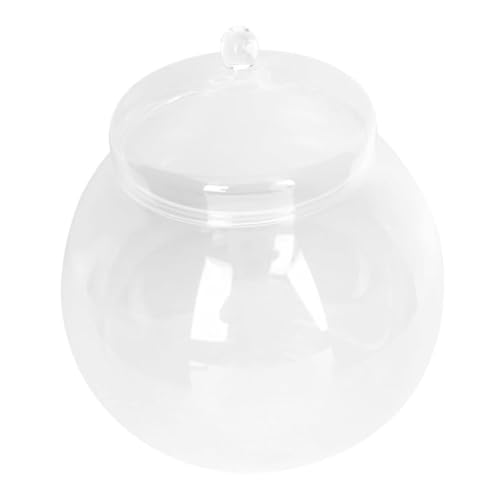 Yardwe Mikroglasflasche Im Querformat Deko Desktop-Aquarium Fischbecken Pflanzen Klares Betta-Becken Transparentes Betta-Becken Multifunktions-Aquarium Goldfischbecken Aus Glas Bürobedarf Yardwe Mikroglasflasche Im Querformat Deko Desktop-Aquarium Fischbecken Pflanzen Klares Betta-Becken Transparentes Betta-Becken Multifunktions-Aquarium Goldfischbecken Aus Glas Bürobedarf von Yardwe