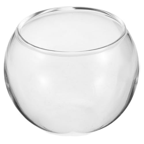 Yardwe Mini Aquarium Fischglas Pflanzgefäß Terrarium Schale Rund Fischglas Mini Aquarium Landschaftsflasche Kleines Aquarium Kleines Schildkrötenbecken Fischflasche Fischglas Yardwe Mini Aquarium Fischglas Pflanzgefäß Terrarium Schale Rund Fischglas Mini Aquarium Landschaftsflasche Kleines Aquarium Kleines Schildkrötenbecken Fischflasche Fischglas von Yardwe