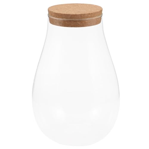 Yardwe Glas Bryophyten Landschaftsflasche Betta Flasche DIY Ökologische Flasche Terrarium Dekor Pflanzenvermehrungsstation Tischdekoration von Yardwe