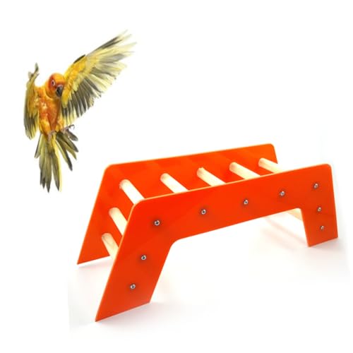 Yardwe Papageienbrückenspielzeug Vogelspielzeug Papageienspielzeug Vogelleiter Vogel Papageien Haustier-trainingsleiter Papagei Treppenspielzeug Vögel Bambus Yardwe Papageienbrückenspielzeug Vogelspielzeug Papageienspielzeug Vogelleiter Vogel Papageien Haustier-trainingsleiter Papagei Treppenspielzeug Vögel Bambus von Yardwe