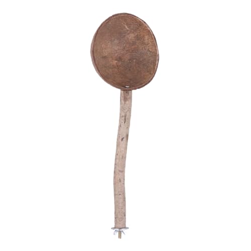Yardwe Papagei Kokosnuss Futternapf Ständer Natürliche Kokosnussschalen Nest Für Vögel Heimtierbedarf Spielzeug Set Yardwe Papagei Kokosnuss Futternapf Ständer Natürliche Kokosnussschalen Nest Für Vögel Heimtierbedarf Spielzeug Set von Yardwe