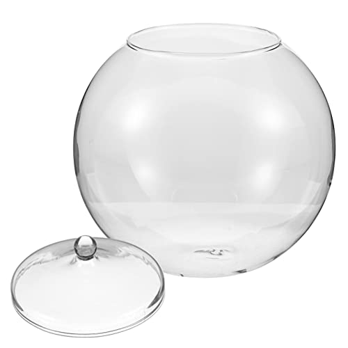 Yardwe Pflanze Terrarium Display Glas Tischplatte Sukkulente Luftpflanze Übertopf Kugel Mit Deckel Glaspflanzer Rund Luftpflanze Terrarium Tillandsia Kerzenhalter Yardwe Pflanze Terrarium Display Glas Tischplatte Sukkulente Luftpflanze Übertopf Kugel Mit Deckel Glaspflanzer Rund Luftpflanze Terrarium Tillandsia Kerzenhalter von Yardwe
