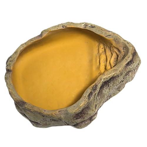 Yardwe Reptilien Futternapf Mittlere wasserdichte Futter Und Wasserschale Aus Resin Für Bartagamen Geckos Und Eidechsen Für Terrarien Und Einfache Fütterung Von Reptilien von Yardwe