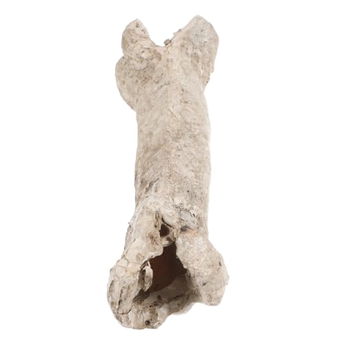 Yardwe Haustier Versteck Höhle Knochen Reptil Tank Höhle Versteck Harz Reptil Yardwe Haustier Versteck Höhle Knochen Reptil Tank Höhle Versteck Harz Reptil von Yardwe