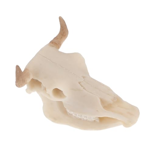 Yardwe Resin Deko Büffelschädel Aquarium Ornament Leicht Platzierbar Mystische Fischbecken Skull Deko Für Zuhause Büro Verschiedene Aquariengrößen Yardwe Resin Deko Büffelschädel Aquarium Ornament Leicht Platzierbar Mystische Fischbecken Skull Deko Für Zuhause Büro Verschiedene Aquariengrößen von Yardwe