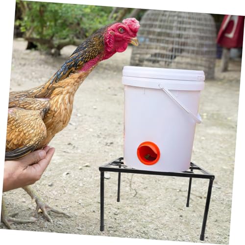 Yardwe Robuster Metall-Halter für Hühnerfutterspender und Tränke Wetterfester Quadratischer Ständer mit Rostfreiem Eisen Stabiler Halter für Innen Außenhaltung im Hühnerstall Langlebiges Yardwe Robuster Metall-Halter für Hühnerfutterspender und Tränke Wetterfester Quadratischer Ständer mit Rostfreiem Eisen Stabiler Halter für Innen Außenhaltung im Hühnerstall Langlebiges von Yardwe