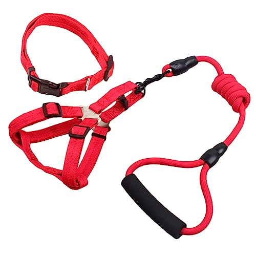 Yardwe Set Mit Hund Und Leine Starke Struktur 3-teiliges Set Rotes Halsband 1 8 M Lange Leine Haustierzubehör Für Das Training Im Yardwe Set Mit Hund Und Leine Starke Struktur 3-teiliges Set Rotes Halsband 1 8 M Lange Leine Haustierzubehör Für Das Training Im von Yardwe