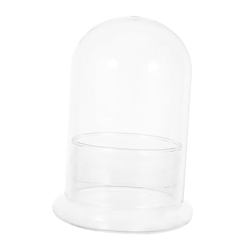 Yardwe Terrarium Vase Øcm Transparent Pflanzglas für Moos Micro Landscape DIY Hydroponik Pflanzenvermehrung Indoor Garten Ökosystem von Yardwe