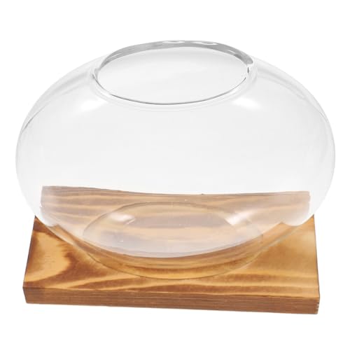 Yardwe Elegante Glas-Terrarium-schüssel Hydroponischer Rahmen Blumentopf Moderne Zimmerpflanze Display Holzständer von Yardwe