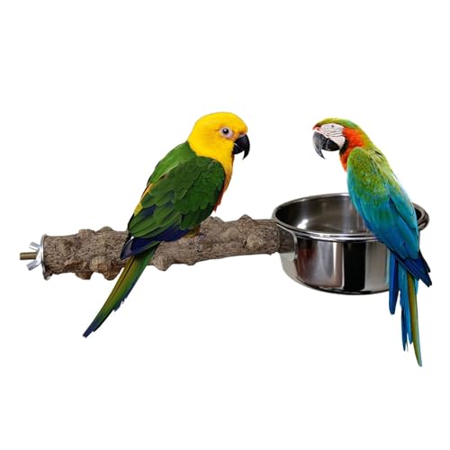 Yaztauho Holzbarsch für Vogelkäfig, Vogelperch mit Feederbecher | Vogelkäfigständer,Integriertes Design -Fütterungsinstrument für Cockatiels, mittlere, Wellensittiche, Sittiche von Yaztauho