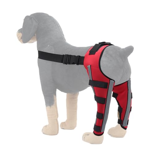Yaztauho Hundestütze Für Knie,Kniegelenkschutz Für Hunde | Hinterlauf Bandage Für Hunde | Zur Wiederherstellung Nach Training Outdoor Schwäche Fixierung Mobilität von Yaztauho