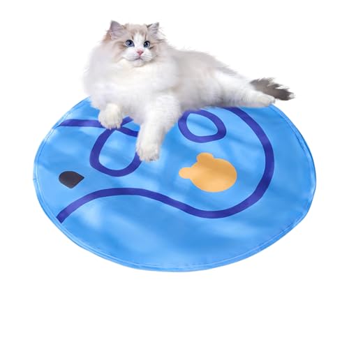 Yaztauho Rolling Cat Ball in Play Matte, Interactive Cat Toy - Leichte und tragbare Spielmatte,Safe komfortable Spiel für Haustiere liefert Kätzchen an Bereicherung von Yaztauho