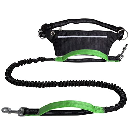 Ycagrain Hundeleine mit reflektierendem Jogging-Traktionsseil, ausziehbarer Bungee-Hund, Laufgürtel, C Ycagrain Hundeleine mit reflektierendem Jogging-Traktionsseil, ausziehbarer Bungee-Hund, Laufgürtel, C von Ycagrain