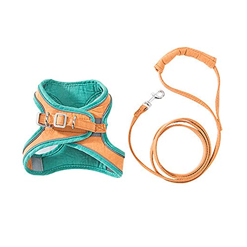 Ycagrain Trainingsleinen für kleine Katzen, mit Geschirr und Halsband, verstellbare Leine, Set (Grün, L) von Ycagrain