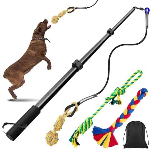 Ycozy Reizangel Hunde - 103cm Upgraded Intelligenzspielzeug für Hunde, Versenkbare Hund Teaser Zauberstab mit 3 Hundespielzeug für Outdoor Übung Training von Ycozy