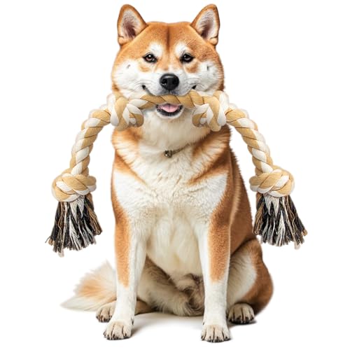 Ycozy Hundespielzeug für mittelgroße und kleine Hunde, 66 cm, 4 Knoten, Hundeseil für Aggressive Kauer, Welpen, Hundespielzeug, Fast unzerstörbar, Kauspielzeug, natürliche Baumwolle Ycozy Hundespielzeug für mittelgroße und kleine Hunde, 66 cm, 4 Knoten, Hundeseil für Aggressive Kauer, Welpen, Hundespielzeug, Fast unzerstörbar, Kauspielzeug, natürliche Baumwolle von Ycozy