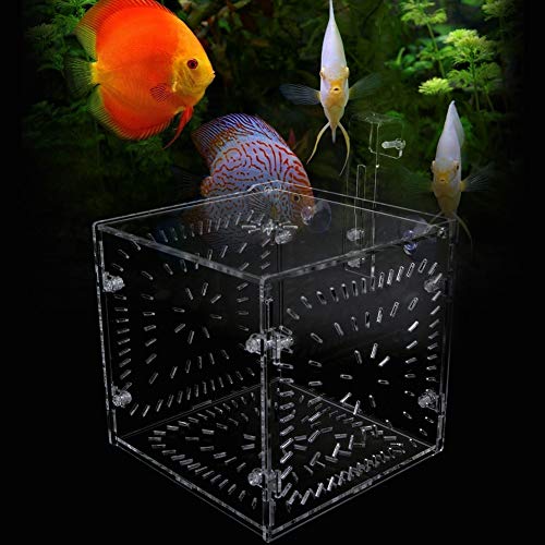 Aquarium-Isolationsbox für Fischsetzlinge, Inkubations- und Reproduktionsbox (15CM * 15CM * 15CM) von Yctze
