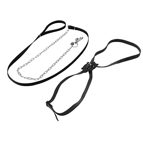 Harn le Hautfreundlich Reptile le für Outdoor S e S (L 3,2 cm / 1,3in) von Yctze