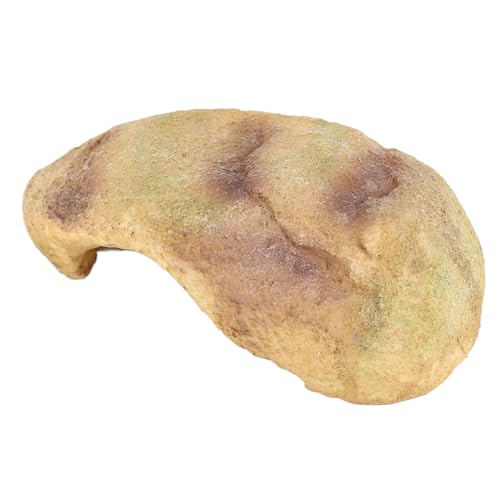Lebendige Fischhöhle für Reptilien - Fadel & Rium Shelter Dekoration für S- und SM Haustiere (GS0737) von Yctze