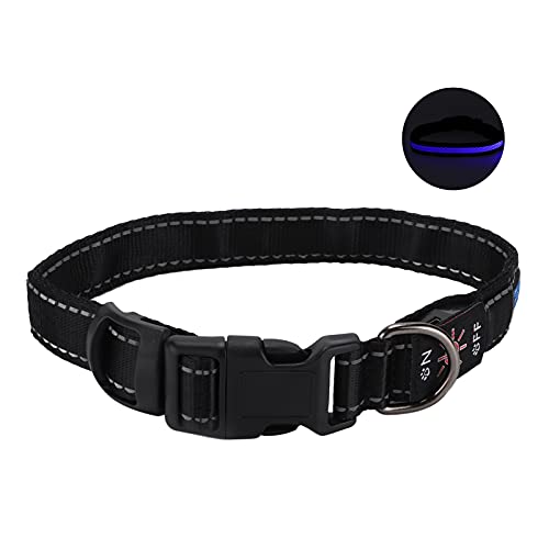 Leuchtendes Katzenhalsband, Im Dunkeln Leuchtendes Hundehalsband, LED-Hundehalsband, LED-Hundehalsband, Leuchtendes Hundehalsband mit Reflektierenden Streifen für Katzen, Kleine, Leuchtendes Katzenhalsband, Im Dunkeln Leuchtendes Hundehalsband, LED-Hundehalsband, LED-Hundehalsband, Leuchtendes Hundehalsband mit Reflektierenden Streifen für Katzen, Kleine, von Yctze