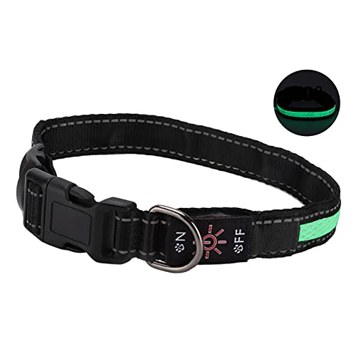 Leuchtendes Katzenhalsband, Im Dunkeln Leuchtendes Hundehalsband, LED-Hundehalsband, LED-Hundehalsband, Leuchtendes Hundehalsband mit Reflektierenden Streifen für Katzen, Kleine, Leuchtendes Katzenhalsband, Im Dunkeln Leuchtendes Hundehalsband, LED-Hundehalsband, LED-Hundehalsband, Leuchtendes Hundehalsband mit Reflektierenden Streifen für Katzen, Kleine, von Yctze
