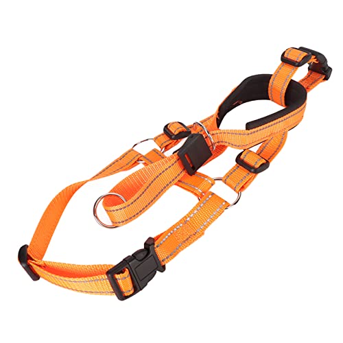 Maulkorb für Hunde, Bulldoggen-Maulkorb, Hundekopfhalter, Atmungsaktives Nylon-Hundehalfter, Maulkorb für Große Hunde, für Kleine, Mittelgroße und Große Hunde, Gegen Beißen, Maulkorb für Hunde, Bulldoggen-Maulkorb, Hundekopfhalter, Atmungsaktives Nylon-Hundehalfter, Maulkorb für Große Hunde, für Kleine, Mittelgroße und Große Hunde, Gegen Beißen, von Yctze