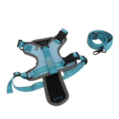 Nylon Reflektierender Haustierkabelbaum mit Zwei Leine für Mittelgroße Hundewanderung, Training und Outdoor -Aktivitäten (Seeblau) von Yctze