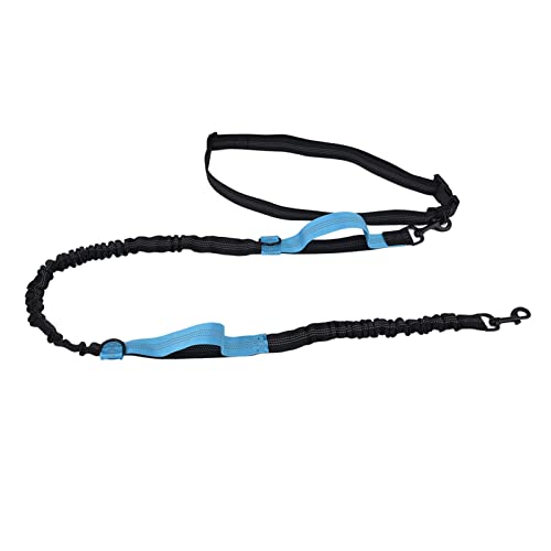 Reflektierende Einziehbare Haustier-Leine mit Händebund für Bequemes Hundeging (Blue) von Yctze